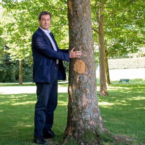 Söder, Baum